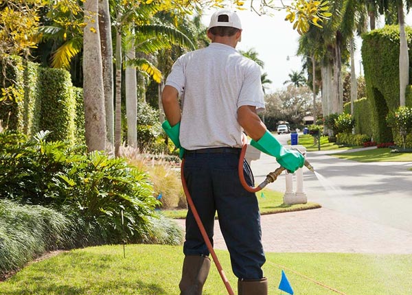 About Cogan Station PA Pest Control